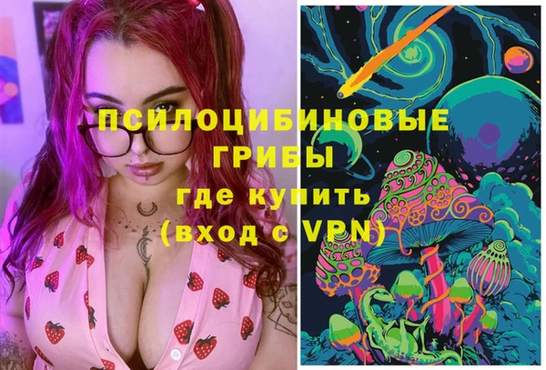 МДПВ Нея
