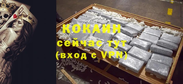 МДПВ Нея