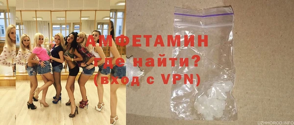 МДПВ Нея
