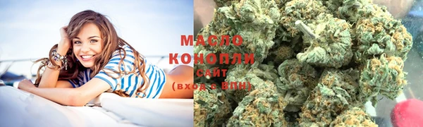 МДПВ Нея