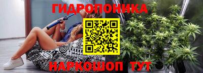 крисы Кимры