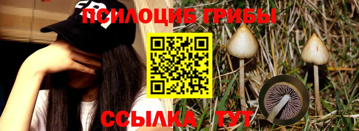 Галлюциногенные грибы мухоморы  Вход с VPN  Галлюциногенные грибы GOLDEN TEACHER  Кострома 